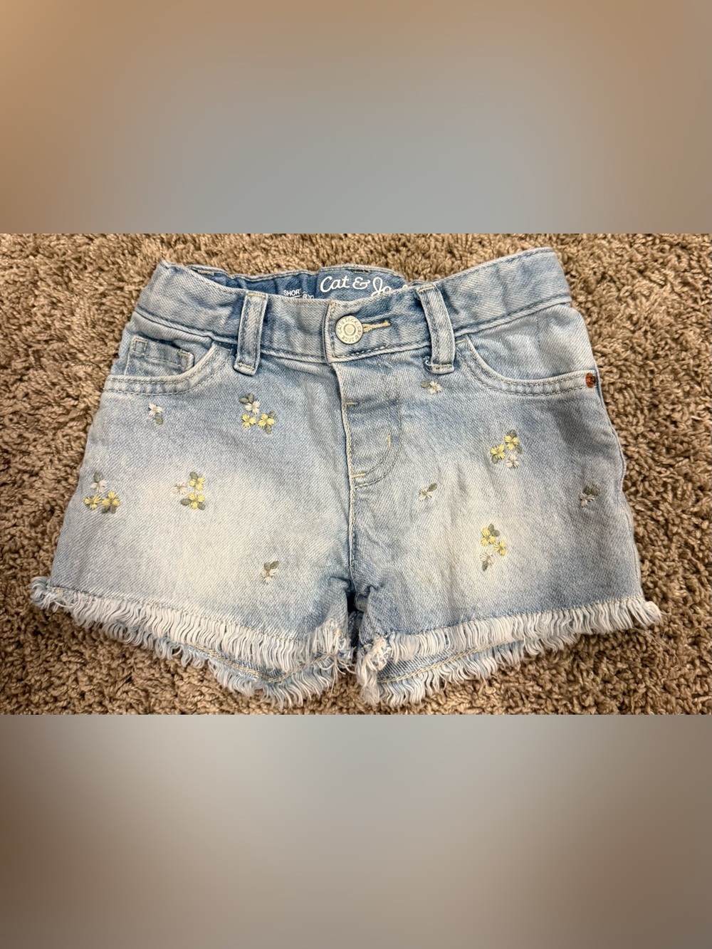Cat & Jack Girls Floral Embroidered Denim Shorts 2T | Frayed Hem